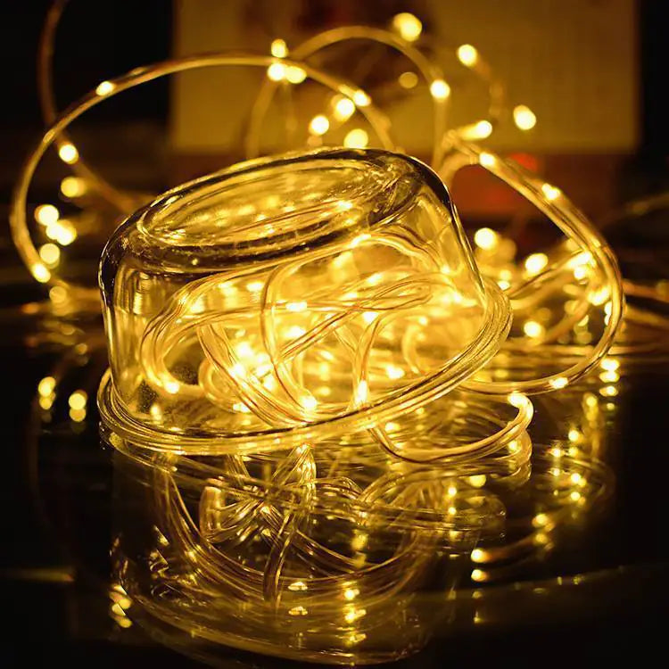 Garden LED Strip Lights