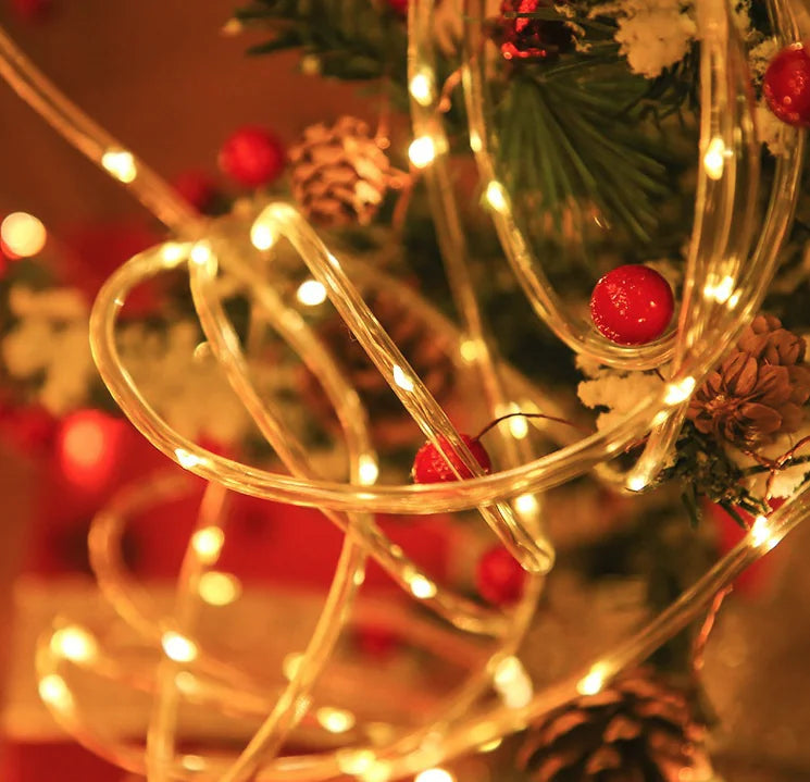 Garden LED Strip Lights